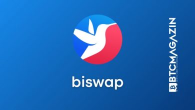 Biswap (BSW) Nedir? Biswap (BSW) Geleceği ve Yorum 2022 9