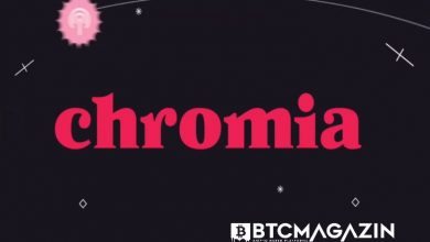 Chromia (CHR) Nedir? Chromia (CHR) Geleceği ve Yorum 2022 9