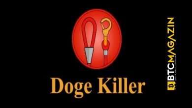 Doge Killer (LEASH) Nedir? Doge Killer (LEASH) Geleceği ve Yorum 2022 9