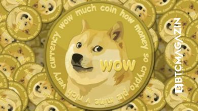 Dogecoin (DOGE) Nedir? Dogecoin (DOGE) Geleceği ve Yorum 2022 9