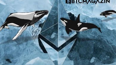 Ethereum Balinaları Artıyor, ETH Fiyatı Yükseliyor! 2