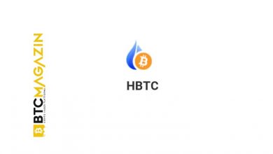 Huobi BTC (HBTC) Nedir? Huobi BTC (HBTC) Geleceği ve Yorum 2022 1