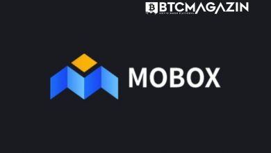 MOBOX (MBOX) Nedir? MOBOX (MBOX) Geleceği ve Yorum 2022 8