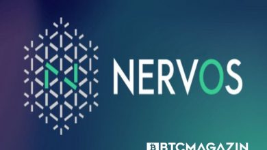 Nervos Network (CKB) Nedir? Nervos Network (CKB) Geleceği ve Yorum 2022 5