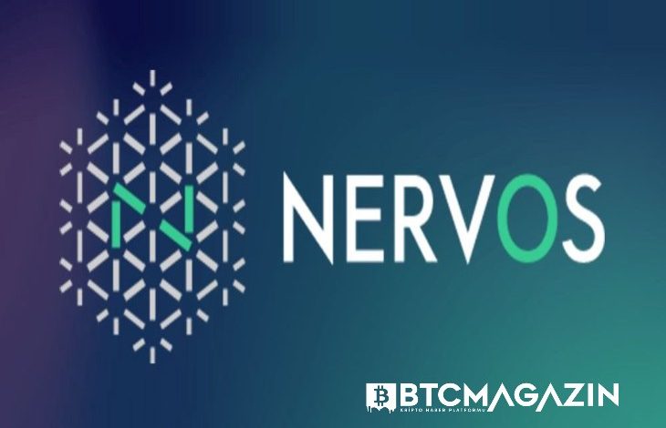 Nervos Network (CKB) Nedir? Nervos Network (CKB) Geleceği Ve Yorum 2022