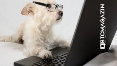 Temmuz'un Dikkat Çeken Meme & Dog Kriptoları 3