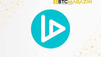 VIDT Datalink (VIDT) Nedir? VIDT Datalink (VIDT) Geleceği ve Yorum 2022 4