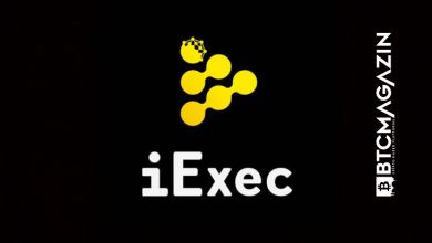 iExec RLC (RLC) Nedir? iExec RLC (RLC) Geleceği ve Yorum 2022 4
