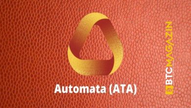 Automata Network (ATA) Nedir? Automata Network (ATA) Geleceği ve Yorum 2022 8
