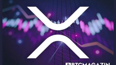 Balinalar Ripple (XRP) Biriktirmeye Devam Ediyor 8