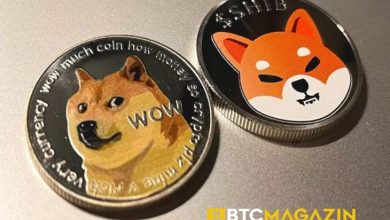 Bloomberg, Dogecoin ve Shiba Inu Fiyat Artışının Olası Nedenlerini Paylaştı 4