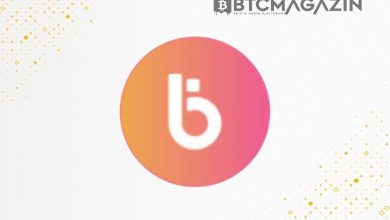 Bread (BRD) Nedir? Bread (BRD) Coin Yorum ve Geleceği 2022 4