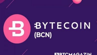 Bytecoin (BCN) Nedir? Bytecoin (BCN) Geleceği ve Yorum 2022 9