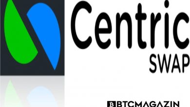 Centric Swap (CNS) Nedir? Centric Swap (CNS) Geleceği ve Yorum 2022 4