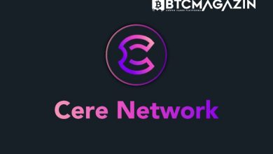 Cere Network (CERE) Nedir? Cere Network (CERE) Geleceği ve Yorum 2022 9