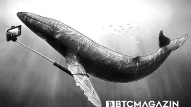 En Büyük Ethereum Balinalarından Biri Bu Tokenlara Milyonlarca Dolar Harcadı 5