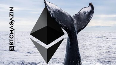 En Son 2014'de Aktif Olan Ethereum Balinası Geri Döndü; 145.000 ETH Taşıdı 9