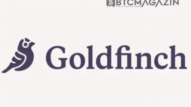 Goldfinch (GFI) Nedir? Goldfinch (GFI) Geleceği ve Yorum 2022 7