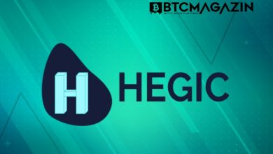 Hegic (HEGIC) Nedir? Hegic (HEGIC) Geleceği ve Yorum 2022 6