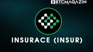 InsurAce (INSUR) Nedir? InsurAce (INSUR) Geleceği ve Yorum 2022 5