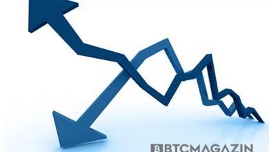 Kripto Para Piyasası Neden Volatildir? 2
