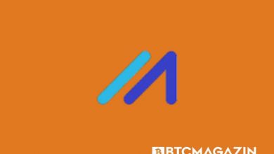 Marlin (POND) Nedir? Marlin (POND) Geleceği ve Yorum 2022 3