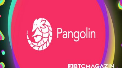Pangolin (PNG) Nedir? Pangolin (PNG) Geleceği ve Yorum 2022 8