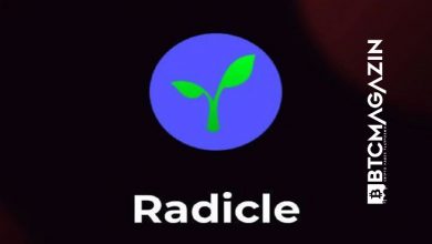 Radicle (RAD) Nedir? Radicle (RAD) Coin Yorum ve Geleceği 2022 5