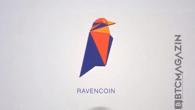 Ravencoin (RVN) Nedir? Ravencoin (RVN) Geleceği ve Yorum 2022 2