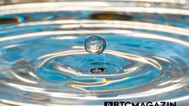 Ripple Yüz Milyonlarca XRP İşlemine Yeniden Başladı 7