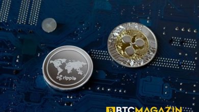 Ripple ve Üst Düzey Platformlar Tarafından Yarım Milyar XRP Taşındı 6