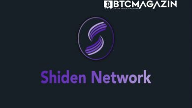 Shiden Network (SDN) Nedir? Shiden Network (SDN) Geleceği ve Yorum 2022 6