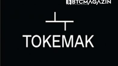 Tokemak (TOKE) Nedir? Tokemak (TOKE) Geleceği ve Yorum 2022 8