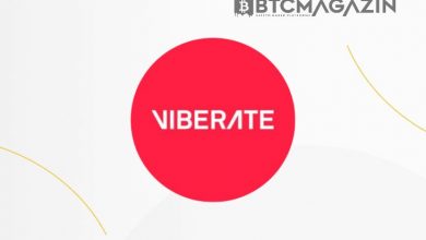 Viberate (VIB) Nedir? Viberate (VIB) Geleceği ve Yorum 2022 1