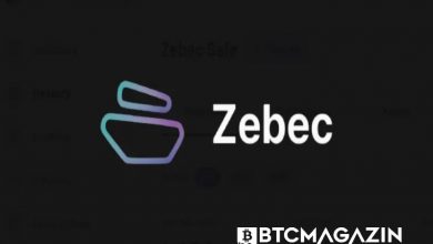 Zebec Protocol (ZBC) Nedir? Zebec Protocol (ZBC) Geleceği ve Yorum 2022 9