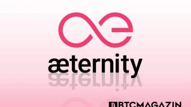 Aeternity (AE) Nedir? Aeternity (AE) Geleceği ve Yorum 2022 1