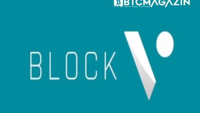 BLOCKv (VEE) Nedir? BLOCKv (VEE) Geleceği ve Yorum 2022 8