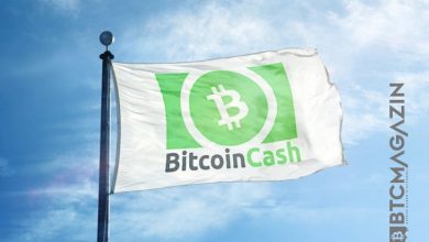 Bitcoin Cash (BCH) Balinaların İlk 10 Listesine Girdi 3