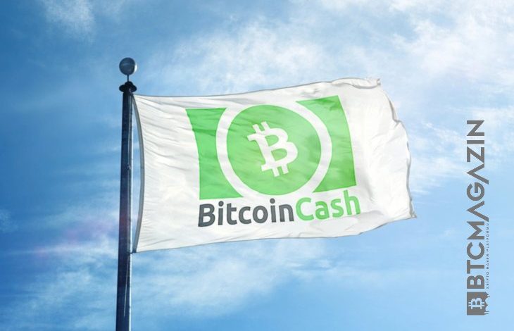 Bitcoin Cash (BCH) Balinaların İlk 10 Listesine Girdi 1