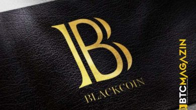 BlackCoin (BLK) Nedir? BlackCoin (BLK) Geleceği ve Yorum 2022 8