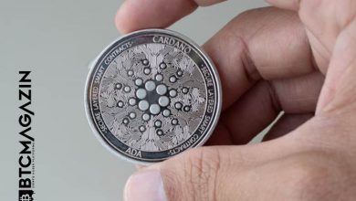 Cardano Vasil Hard Fork Nedir? 2