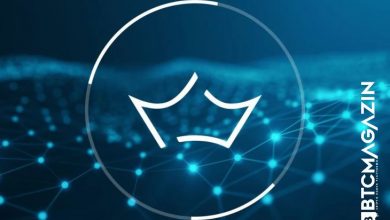 Crown (CRW) Nedir? Crown (CRW) Geleceği ve Yorum 2022 3