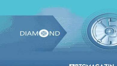 Diamond Coin (DMD) Nedir? Diamond Coin (DMD) Geleceği ve Yorum 2022 7