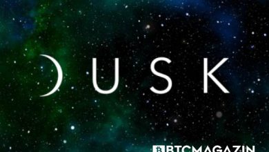 Dusk Network (DUSK) Nedir? Dusk Network (DUSK) Geleceği ve Yorum 2022 2