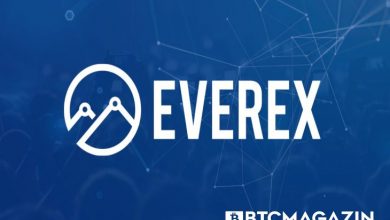 Everex (EVX) Nedir? Everex (EVX) Geleceği ve Yorum 2022 7