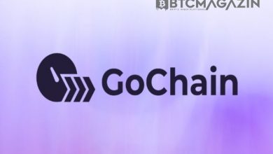GoChain (GO) Nedir? GoChain (GO) Geleceği ve Yorum 2022 2