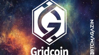 GridCoin (GRC) Nedir? GridCoin (GRC) Geleceği ve Yorum 2022 5