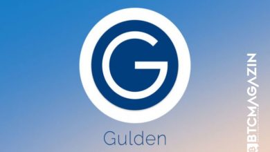 Gulden (NLG) Nedir? Gulden (NLG) Geleceği ve Yorum 2022 7