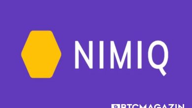 Nimiq (NIM) Nedir? Nimiq (NIM) Geleceği ve Yorum 2022 6