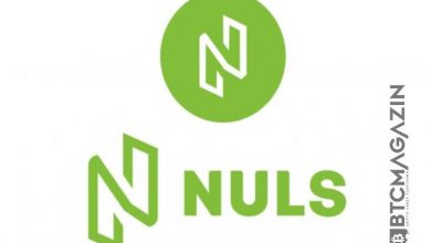 Nuls (NULS) Nedir? Nuls (NULS) Geleceği ve Yorum 2022 9